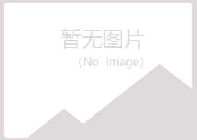 甘泉县山柏建设有限公司